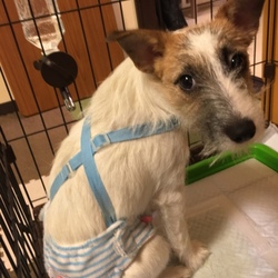 「備忘録カノン⑥」サムネイル1