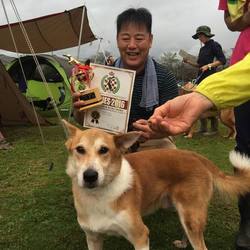 中型雑種の保護犬・博士に取材依頼！