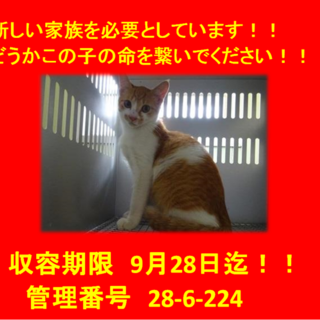 里親決定♪お迎えありがとうございます！