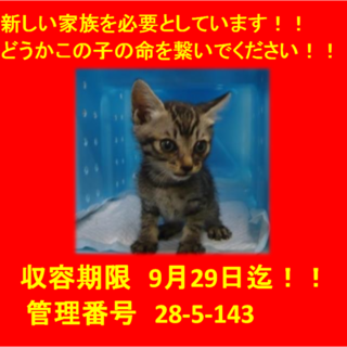 里親決定！！お迎えありがとうございました(^^♪