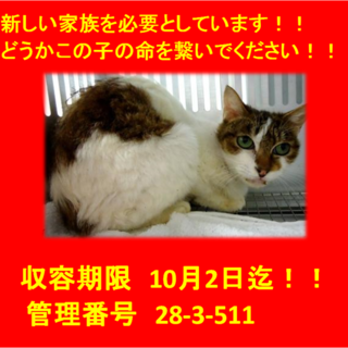 期限10月2日迄！！ここから出してもらえませんか！