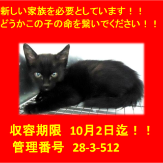 里親決定☆素敵な家族ができました(^^♪感謝