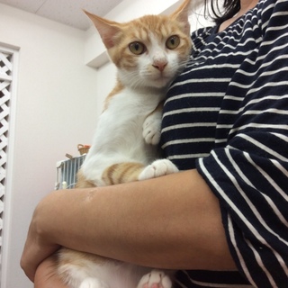 里親さん、決定しました。ありがとうございます。