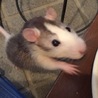 くまもんhideさん