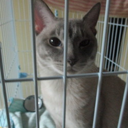 北海道横断！！