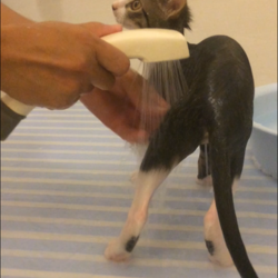 「まあや3ヶ月。」サムネイル2