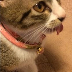 「まあや3ヶ月。」サムネイル3