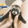 まだまだ赤ちゃん