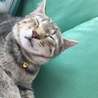 4268