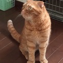 マイペースのスコくんです。