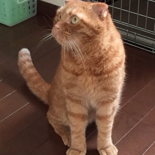 マイペースのスコくんです。