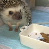 待て！？（笑）