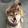 の写真