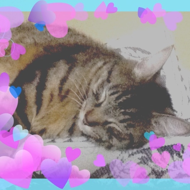 うぇいぶのカバー写真