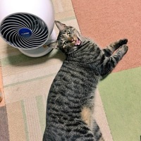 太郎