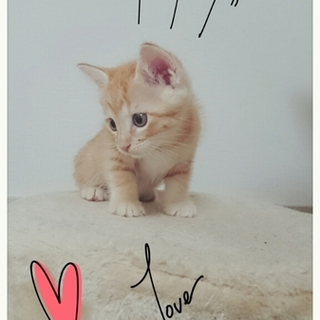 人馴ればっちり可愛いキョウダイ♥ 