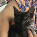 一旦中断させていただきます