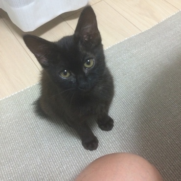 の写真