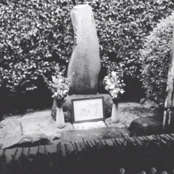 【動物愛護週間】愛護行事と慰霊祭