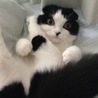 なっちゃんとあんこ