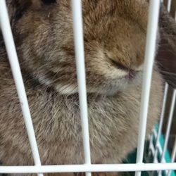 「全員登場とか言っておきながら」サムネイル1