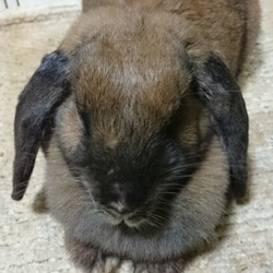 「全員登場とか言っておきながら」サムネイル2