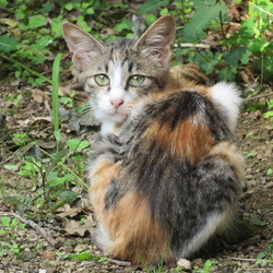 (TωT｡)ｩｩ･･