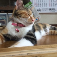 ハナ