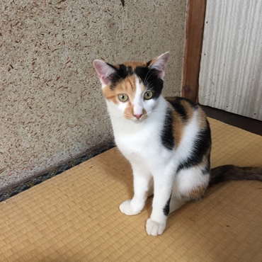 の写真