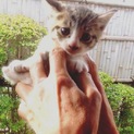 【募集締め切りました！現在調整中です】