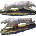 ボルゾイ