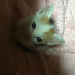 ちょっぴり寂しい（笑）