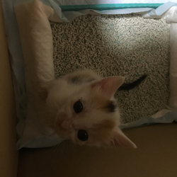 「ちょっぴり寂しい（笑）」サムネイル2