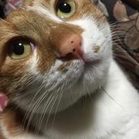 おく
