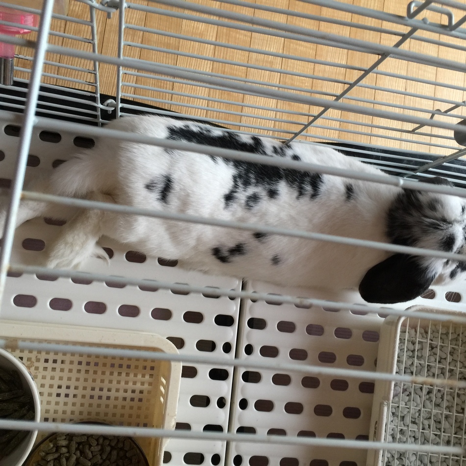 みやびのカバー写真