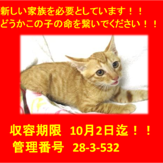 里親決定！！本当に有り難うございました(^^♪