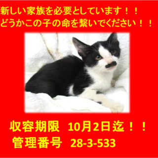 里親決定！！本当に有り難うございました(^^♪