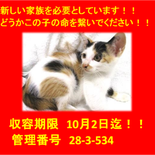 里親決定！！本当に有り難うございました(^^♪