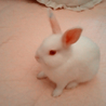 あお