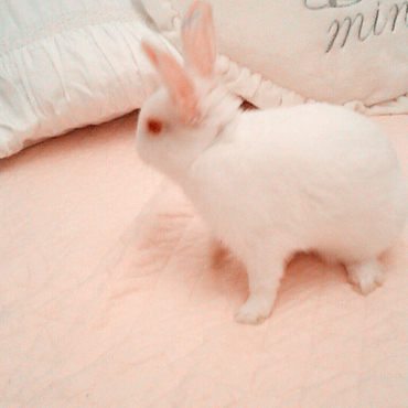 ベッドの上でおさんぽ♪