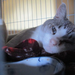 「元気！！」サムネイル2