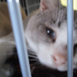 「元気！！」サムネイル3