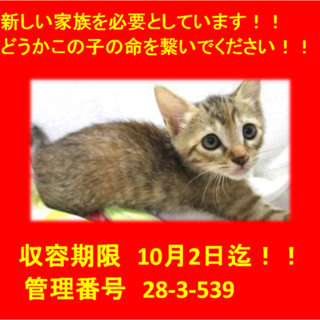 里親決定！！本当に有り難うございました(^^♪