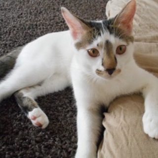 5ヶ月の食いしん坊で遊び好きの男の子