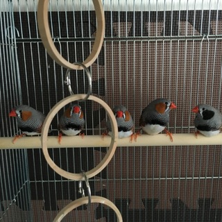 多数の応募ありがとうございました。