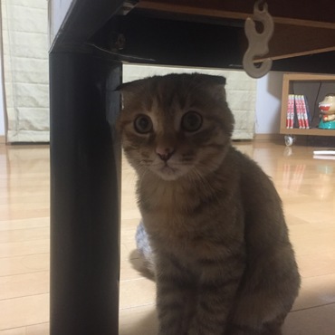 の写真