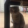 の写真