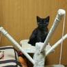 の写真