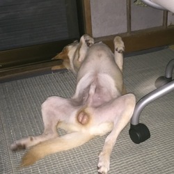 あられもない寝姿