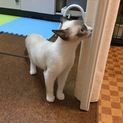沢山のご応募 ありがとうございました